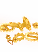 Ancient Relic
