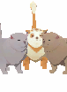 Qitt