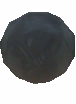 Uncommon Owl Egg