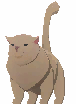 Pet Qitt (Light Brown)