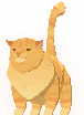 Pet Qitt (Pumpkin)