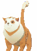 Pet Qitt (Orange and White)