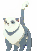 Pet Qitt (Gray and White)