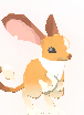 Lusul (Orange and White)