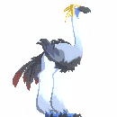 Rideable Bird