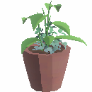 Woodcrafter's Outdoor Potted Plant