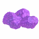 Truffle Patch