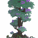 Tree of Wisdom