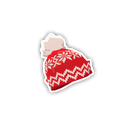 Festive Winter Beanie
