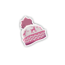 Whimsical Winter Beanie