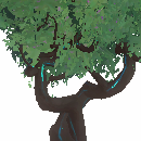Fruitless Maker's Tree