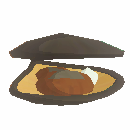 Oyster Shell Open