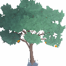 Peach Tree