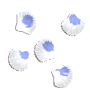 Pearlback Snail