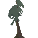 Mature Pine Tree