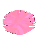 Pink Lilies