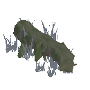 Rotten Log