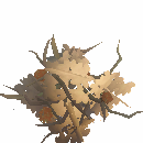 Basic Tree Treasure Stash