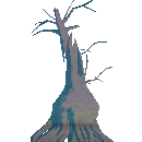 Stunted Cypress Tree