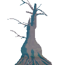 Planted Willow Tree