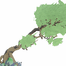 Windswept Tree