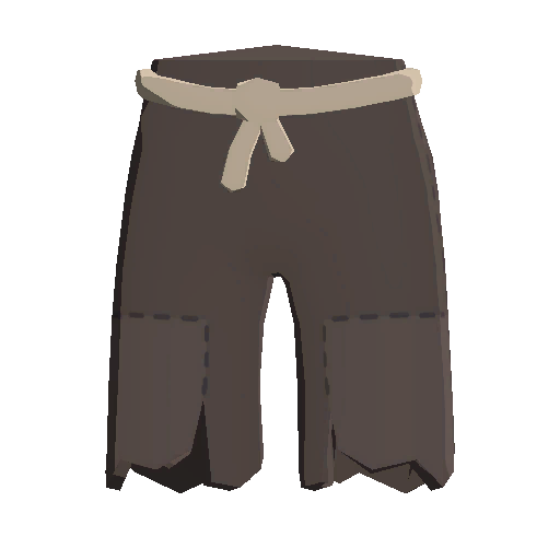 Tattered Shorts