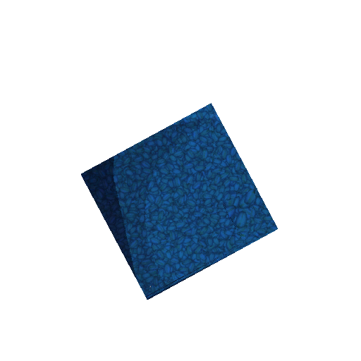 Vibrant Janus Scale