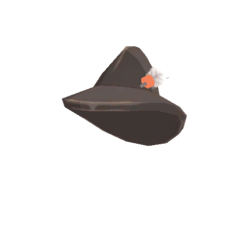 Leather Hat