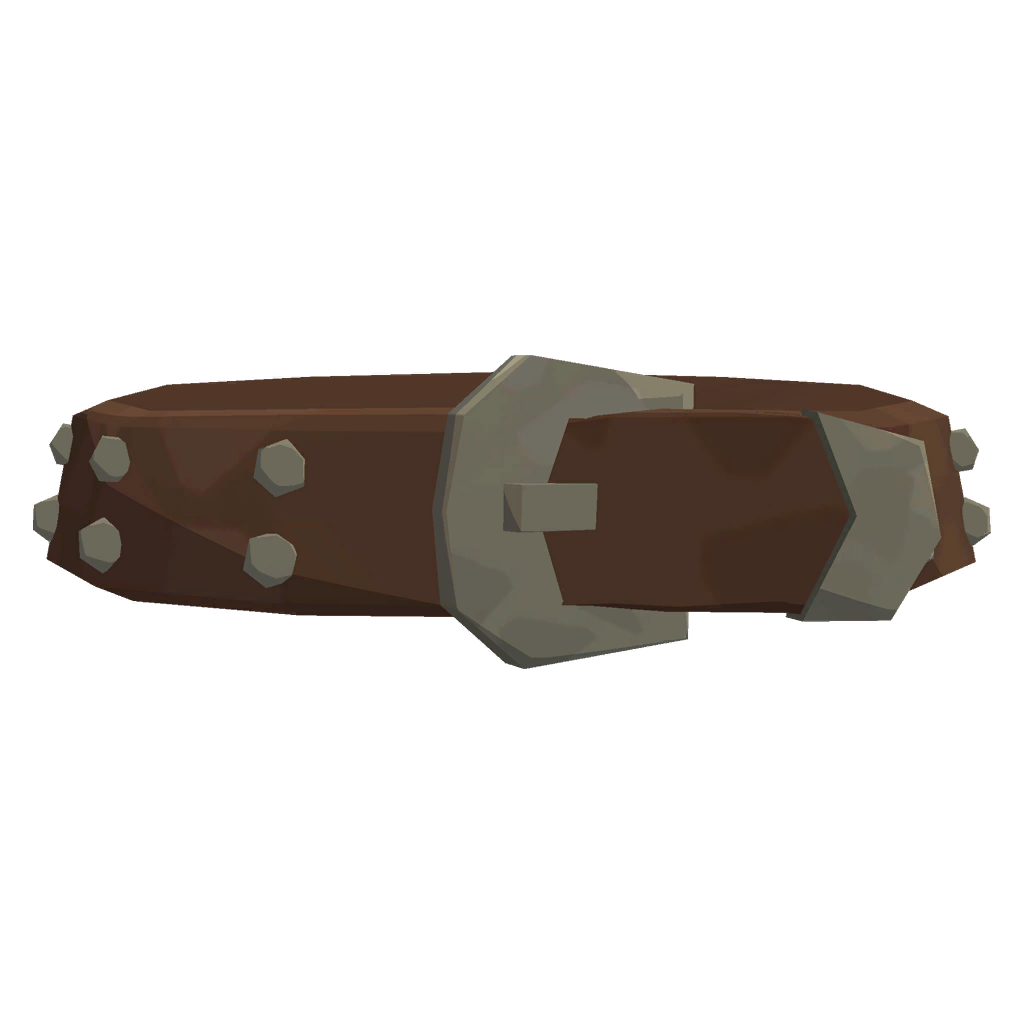 Wrangler Sweetheart's Belt