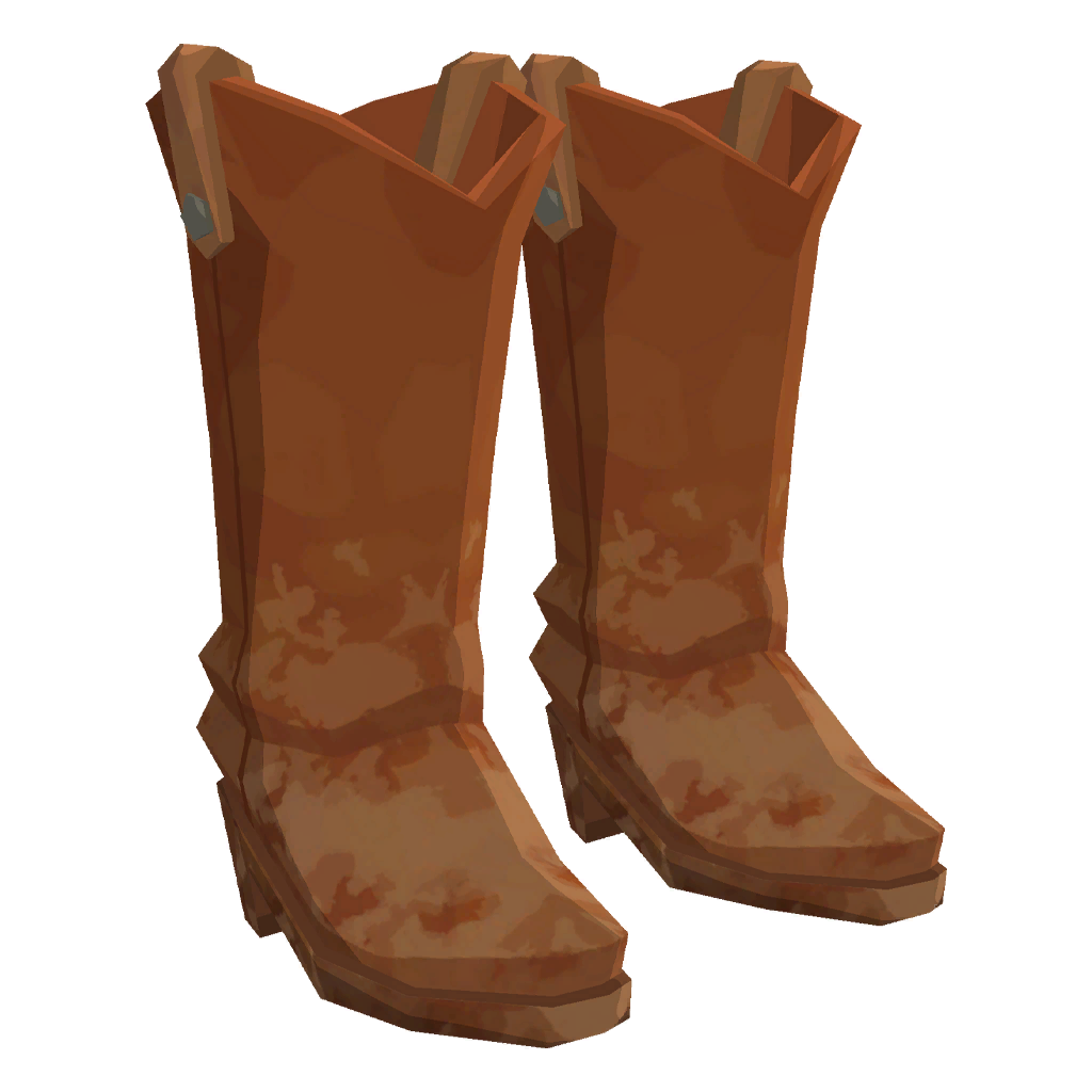 Wrangler Sweetheart's Boots