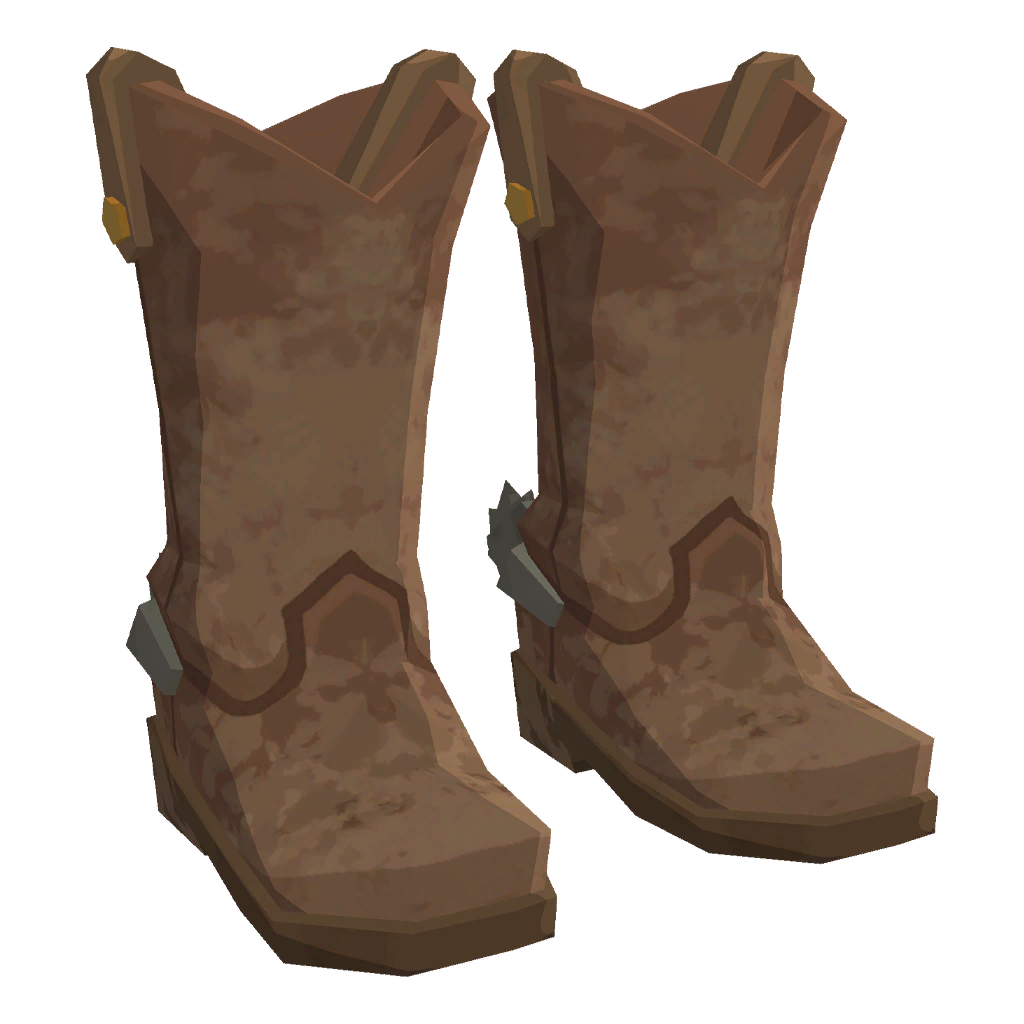 Wrangler Roughrider's Boots