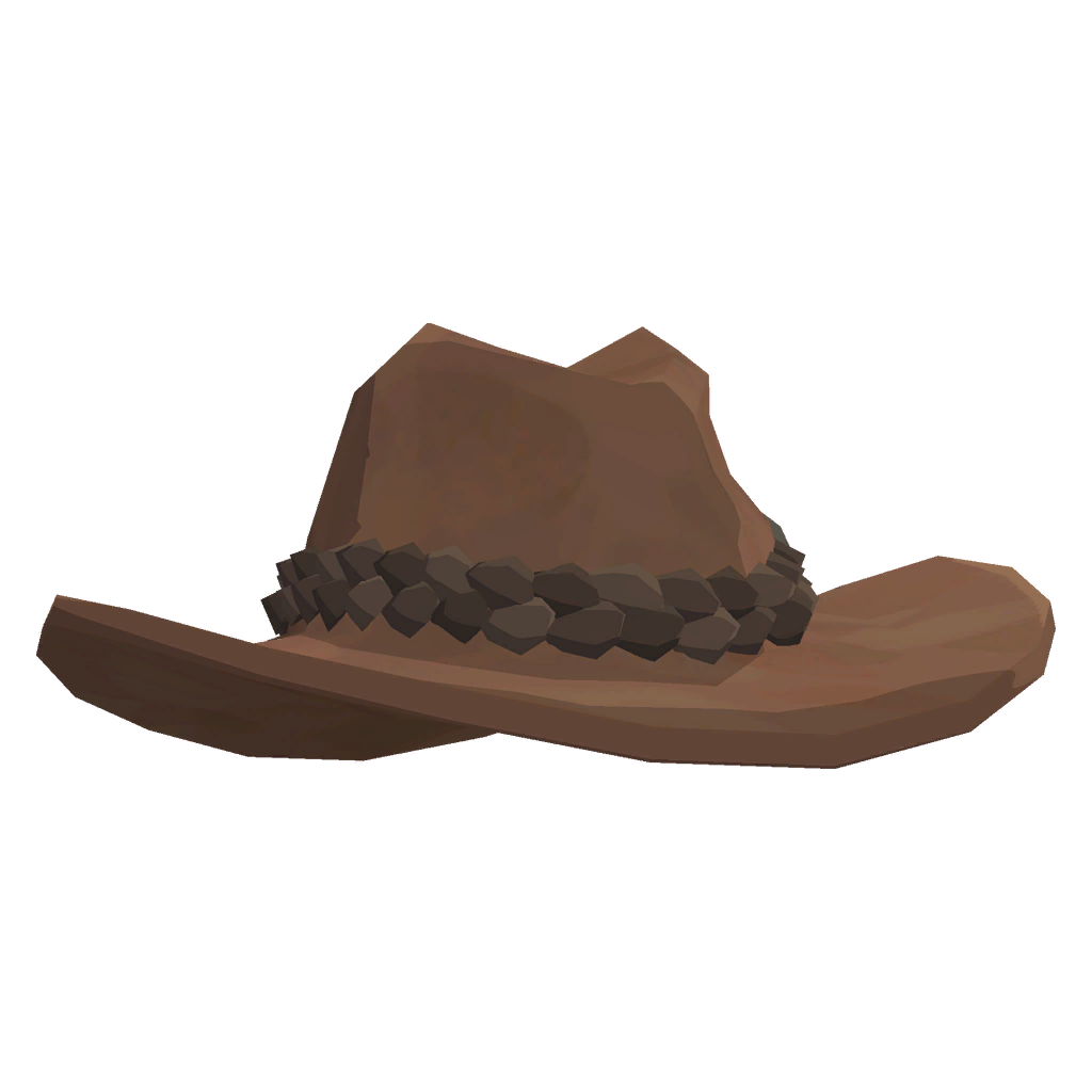 Wrangler Roughrider's Hat