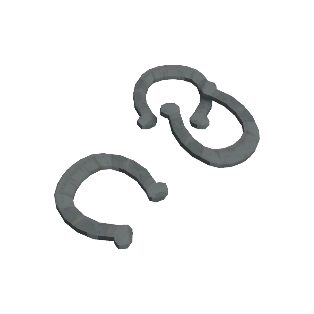 Horse Shoe Decorations