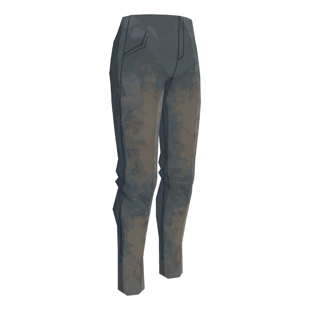 Wrangler Roughrider's Pants